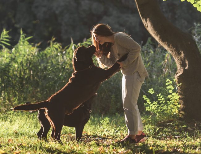woman-two-dogs-playing-park